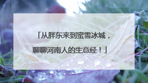 从胖东来到蜜雪冰城，聊聊河南人的生意经！