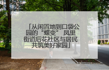 从闲置地到口袋公园的“蝶变” 凤里街道后花社区与居民共筑美好家园