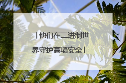 他们在二进制世界守护高墙安全