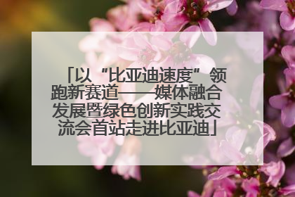 以“比亚迪速度”领跑新赛道——媒体融合发展暨绿色创新实践交流会首站走进比亚迪