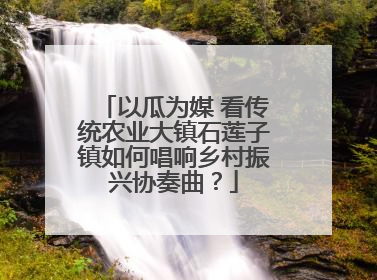 以瓜为媒 看传统农业大镇石莲子镇如何唱响乡村振兴协奏曲？