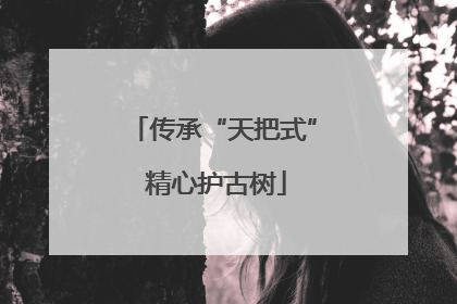 传承“天把式” 精心护古树