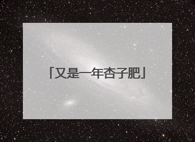 又是一年杏子肥