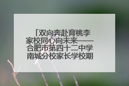 双向奔赴育桃李 家校同心向未来——合肥市第四十二中学南城分校家长学校期末总结会圆满召开