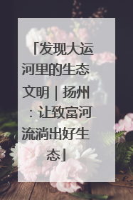 发现大运河里的生态文明｜扬州：让致富河流淌出好生态