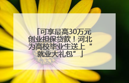 可享最高30万元创业担保贷款！河北为高校毕业生送上“就业大礼包”