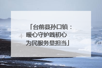 台前县孙口镇：暖心守护践初心 为民服务显担当