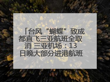 台风“蝴蝶”致成都直飞三亚航班全取消 三亚机场：13日晚大部分进港航班还未取消