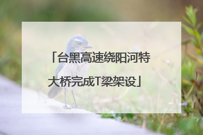 台黑高速绕阳河特大桥完成T梁架设