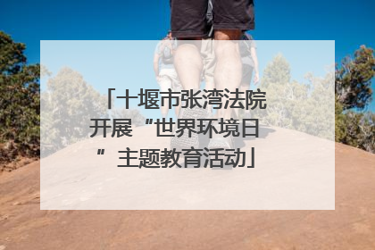 十堰市张湾法院开展“世界环境日”主题教育活动
