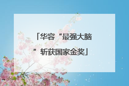 华容“最强大脑”斩获国家金奖