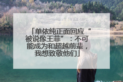 单依纯正面回应“被说像王菲”：不可能成为和超越前辈，我想致敬他们