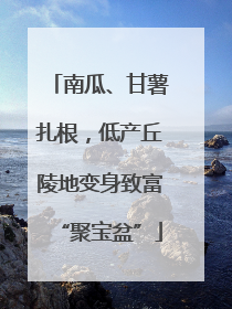 南瓜、甘薯扎根，低产丘陵地变身致富“聚宝盆”