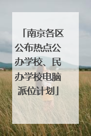 南京各区公布热点公办学校、民办学校电脑派位计划