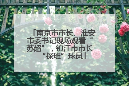 南京市市长、淮安市委书记现场观看“苏超”，镇江市市长“探班”球员
