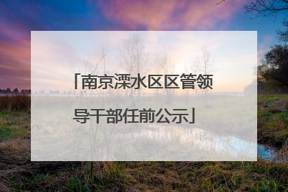南京溧水区区管领导干部任前公示