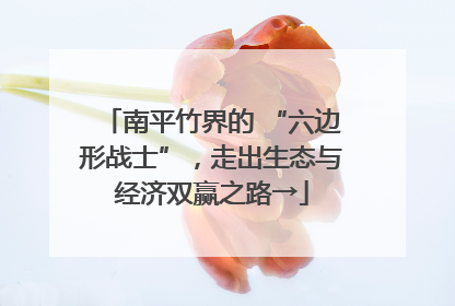 南平竹界的 “六边形战士”，走出生态与经济双赢之路→