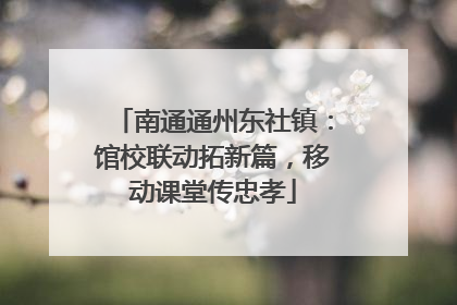 南通通州东社镇：馆校联动拓新篇，移动课堂传忠孝