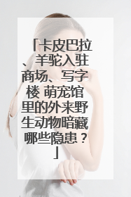 卡皮巴拉、羊驼入驻商场、写字楼 萌宠馆里的外来野生动物暗藏哪些隐患？