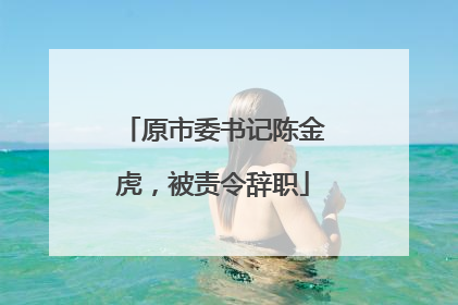 原市委书记陈金虎，被责令辞职
