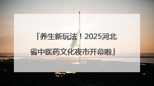 养生新玩法！2025河北省中医药文化夜市开幕啦