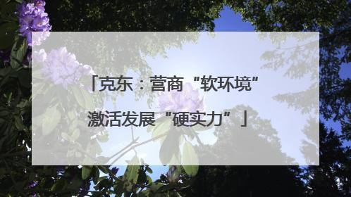 克东：营商“软环境” 激活发展“硬实力”