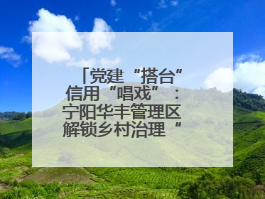 党建“搭台”信用“唱戏”：宁阳华丰管理区解锁乡村治理“信用密码”