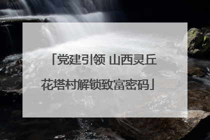 党建引领 山西灵丘花塔村解锁致富密码