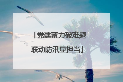 党建聚力破难题 联动防汛显担当