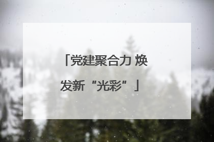党建聚合力 焕发新“光彩”