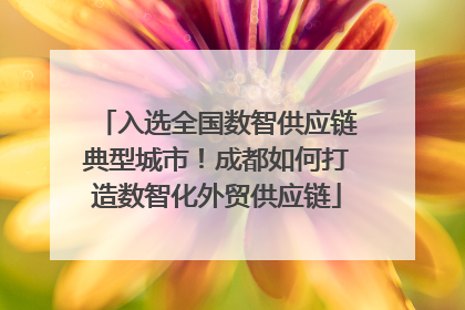 入选全国数智供应链典型城市！成都如何打造数智化外贸供应链
