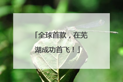全球首款，在芜湖成功首飞！