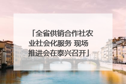全省供销合作社农业社会化服务 现场推进会在泰兴召开