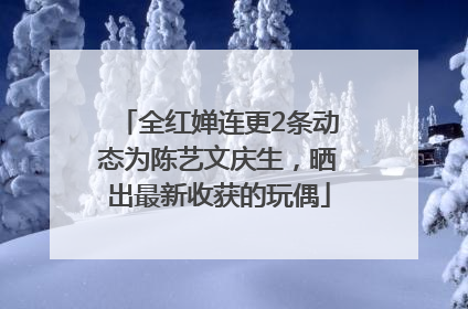 全红婵连更2条动态为陈艺文庆生，晒出最新收获的玩偶