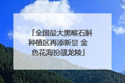 全国最大黑喉石斛种植区再添新景 金色花海扮靓龙陵