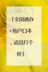 全国通办+免户口本，武昌打个样