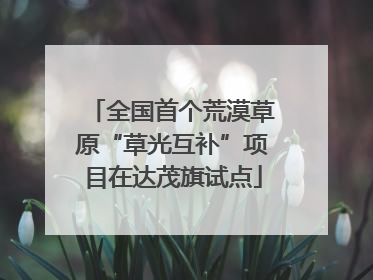 全国首个荒漠草原“草光互补”项目在达茂旗试点