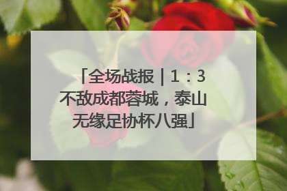 全场战报｜1：3不敌成都蓉城，泰山无缘足协杯八强