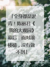 全身都是淤青！陈丽君《我的大观园》幕后：面对滚楼梯，没有做不到