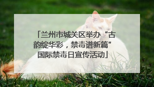 兰州市城关区举办“古韵绽华彩，禁毒谱新篇”国际禁毒日宣传活动