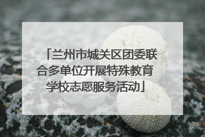 兰州市城关区团委联合多单位开展特殊教育学校志愿服务活动