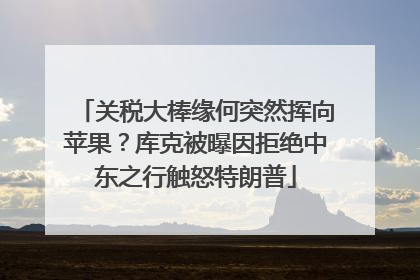 关税大棒缘何突然挥向苹果？库克被曝因拒绝中东之行触怒特朗普