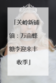 关岭新铺镇：万亩蜂糖李迎来丰收季