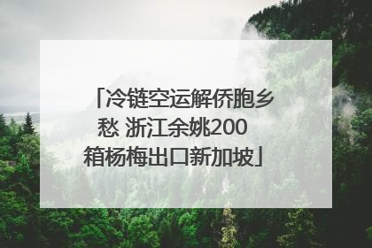 冷链空运解侨胞乡愁 浙江余姚200箱杨梅出口新加坡
