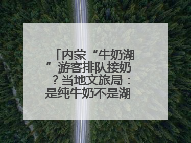 内蒙“牛奶湖”游客排队接奶？当地文旅局：是纯牛奶不是湖水，可放心喝