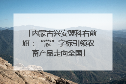 内蒙古兴安盟科右前旗：“蒙”字标引领农畜产品走向全国