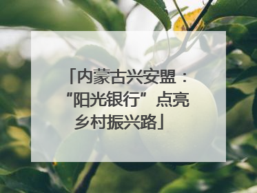 内蒙古兴安盟：“阳光银行”点亮乡村振兴路