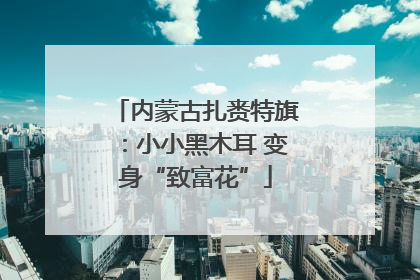 内蒙古扎赉特旗：小小黑木耳 变身“致富花”