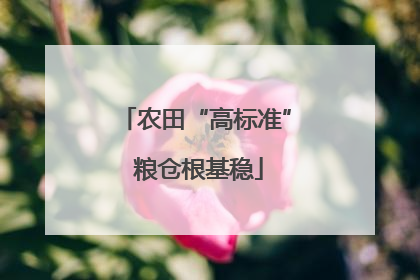农田“高标准” 粮仓根基稳