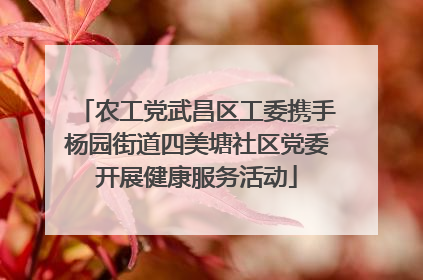 农工党武昌区工委携手杨园街道四美塘社区党委开展健康服务活动